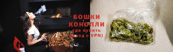 стаф Белокуриха
