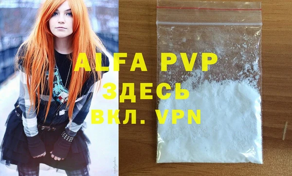 стаф Белокуриха