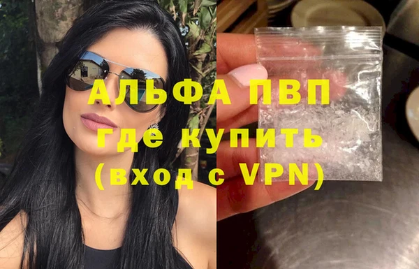 стаф Белокуриха