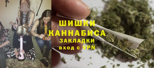 стаф Белокуриха