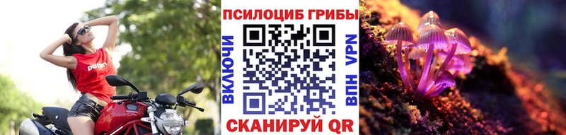 купить цена Гусев ОМГ ОМГ как войти Псилоцибиновые грибы ЛСД