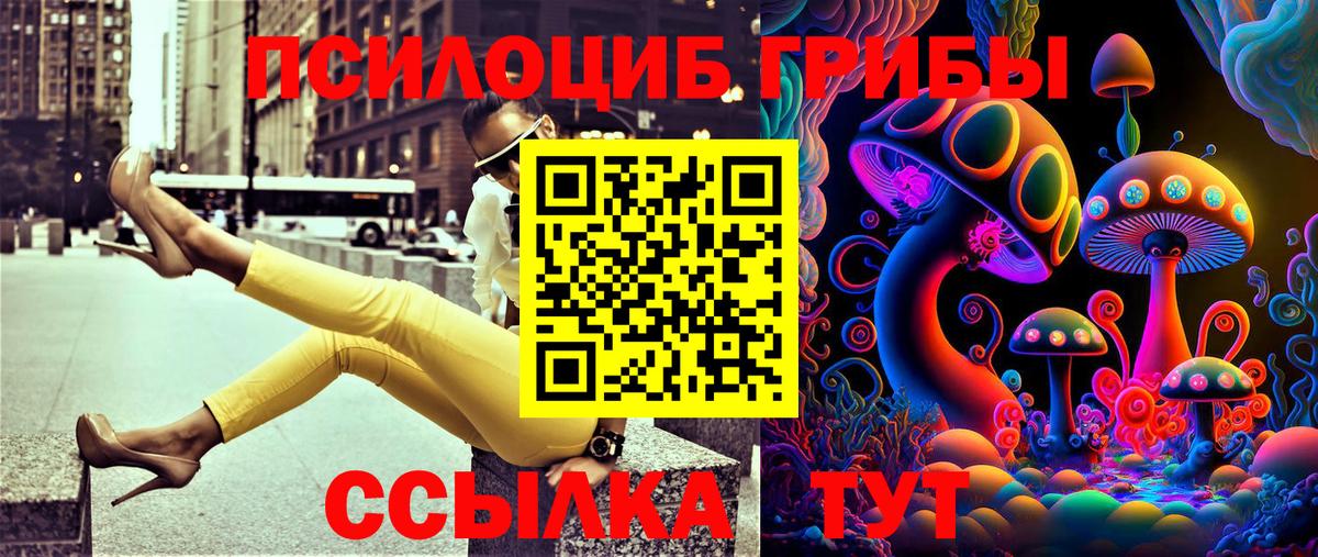 Гусев  Галлюциногенные грибы MAGIC MUSHROOMS  Галлюциногенные грибы Psilocybe  закладка  Вход с VPN 