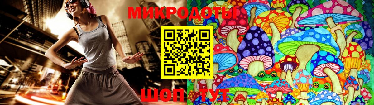 Псилоцибиновые грибы Psilocybine cubensis Гусев