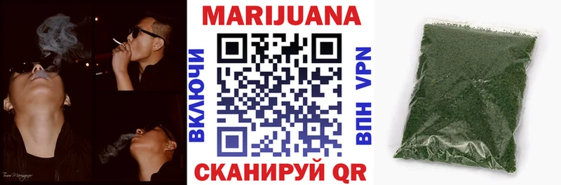 закладка  Гусев  Конопля планчик 